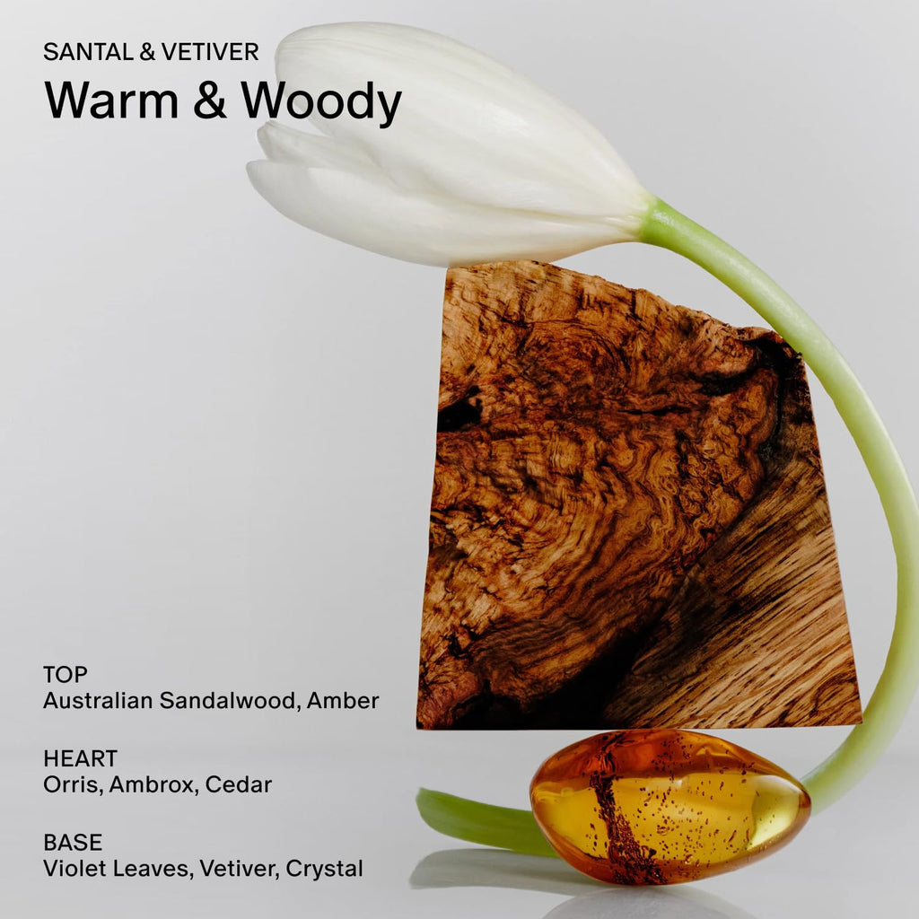 Salt & Stone Body Wash for Women & Men, Bergamot & Hinoki 15.2 fl oz
